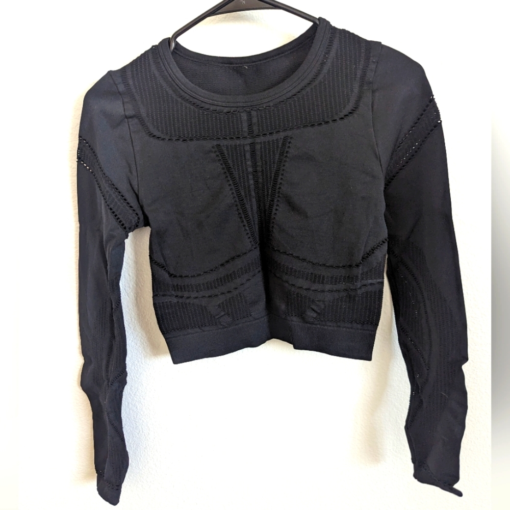 Fabletics long sleeve mesh crop top
